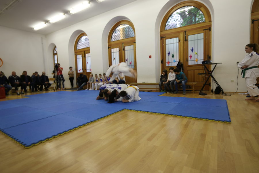 Projekt RiMove