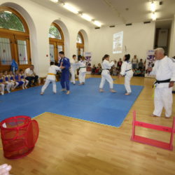 Projekt Sportske škole Grada Rijeke Ri Move