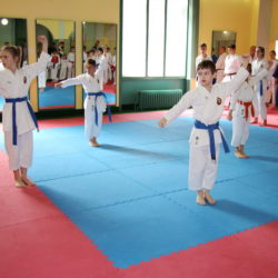 Karate klub Viktorija