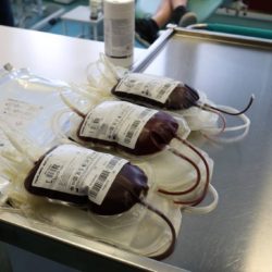 Krv je nezamjenjiva i spašava živote