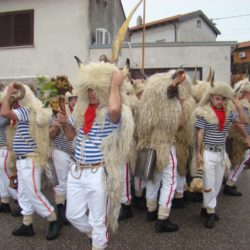 Zametski zvončari na staroj šterni u Srdočima