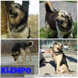 Klempo