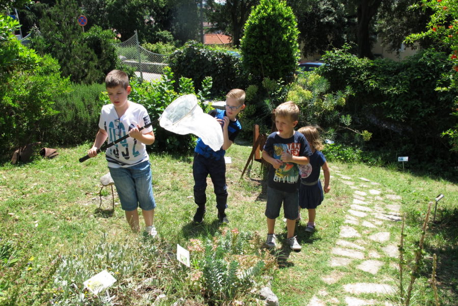 Festival pčele samice