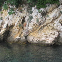 Obalna pećina