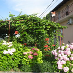 Okućnice 2018.- MO Draga 2. mjesto- Marija Dubrovin