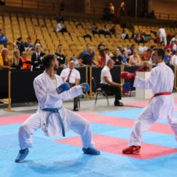 Međunarodni karate turnir