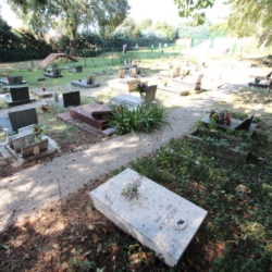 Groblje je očišćeno i hortikulturno uređeno
