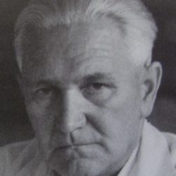 Selimir Dumengjić
