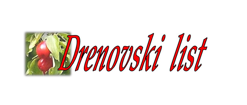 Drenovski list