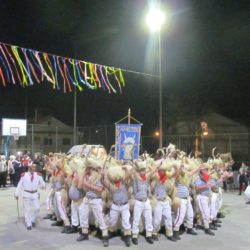 Zametski zvončari na igralištu u Dražičkoj ulici 2019.