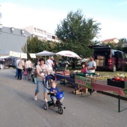 Štandovi sajma zdrave hrane i zelene tržnice