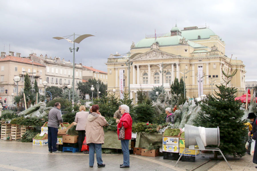 Prodaja božićnih jelki