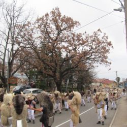 Dolazak Halubajskih zvončara - MO Gornji Zamet