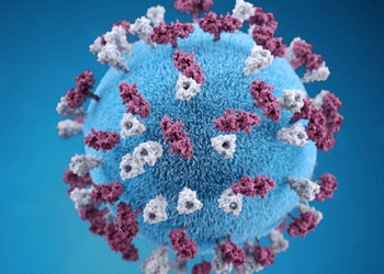 Osnovne informacije o virusu i bolesti