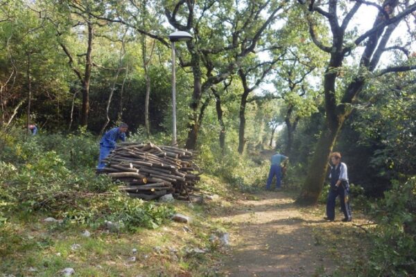 Park lovora na Kantridi