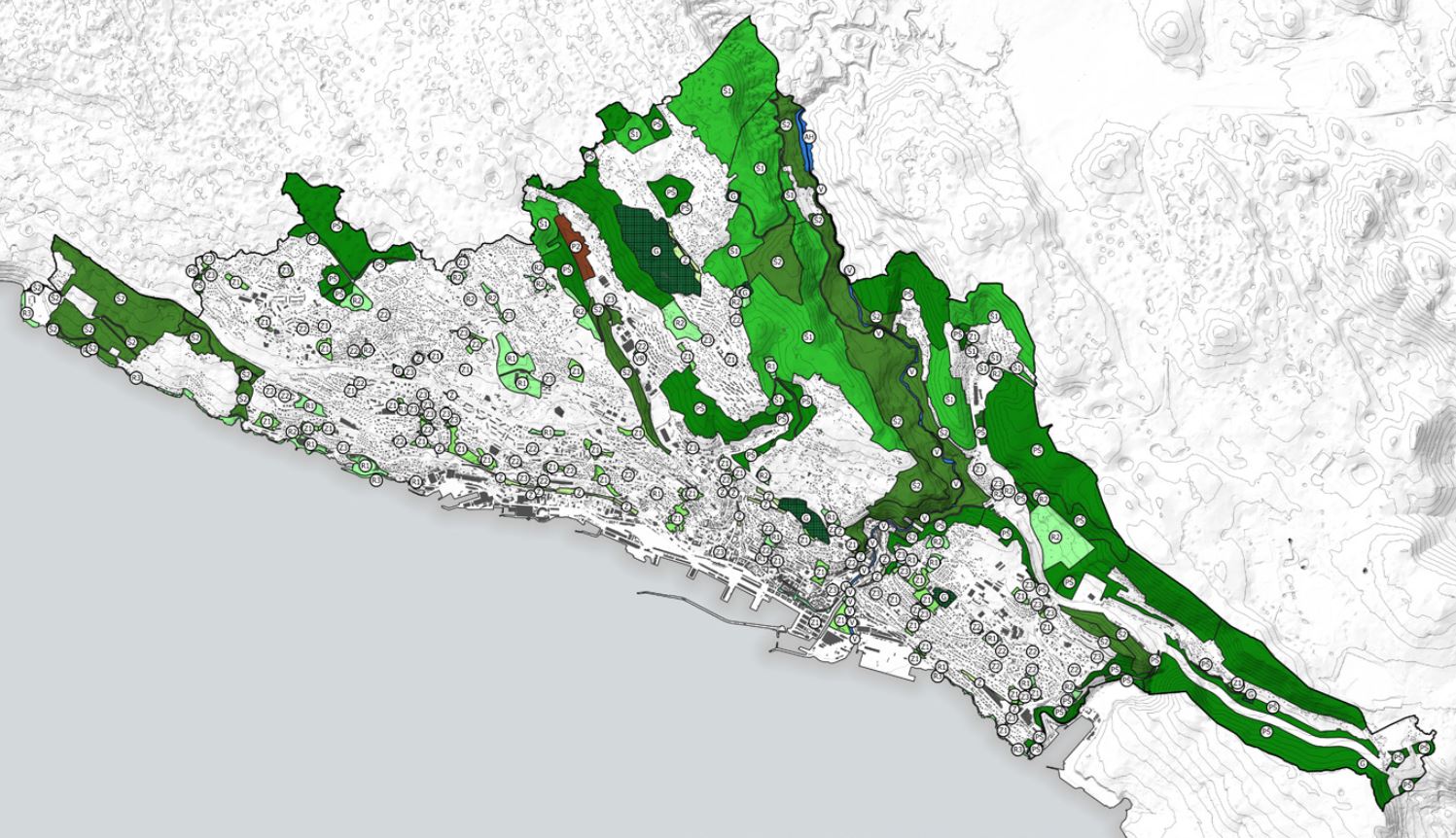 Informacija o Studiji zelene infrastrukture grada Rijeke – Grad Rijeka