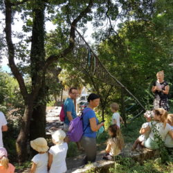 Šetnja Šuma Striborova u Parku Lovora (foto Sherif Rushdy)