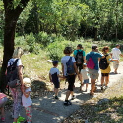 Šetnja Šuma Striborova u Parku Lovora (foto Sherif Rushdy)