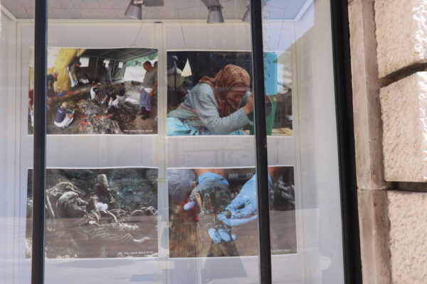 Izložba u izlozima gradske uprave