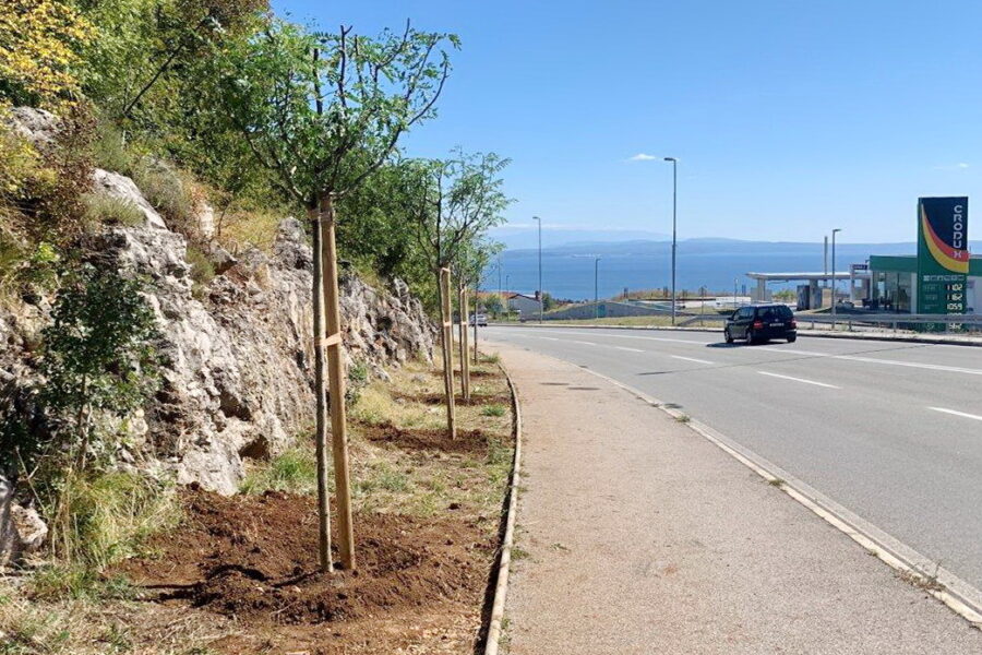 Sadnja stabala na cesti prema Viškovu - Europski tjedan mobilnosti