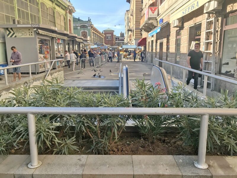 Nastavak sadnje oleandra u sklopu projekta uljepšavanja Rijeke