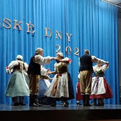 Dani češke kulture
