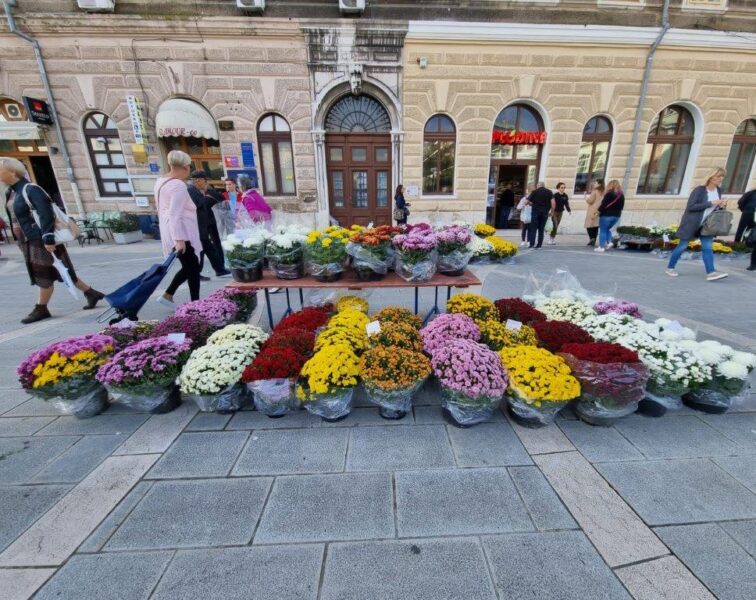 Prodaja cvijeća povodom Svih svetih