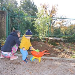 Zasadi drvo, ne budi panj_sadnja stabala u DV Baredice