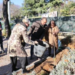 Zasadi drvo, ne budi panj_sadnja stabala u DV Baredice