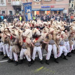 40. Međunarodna karnevalska povorka