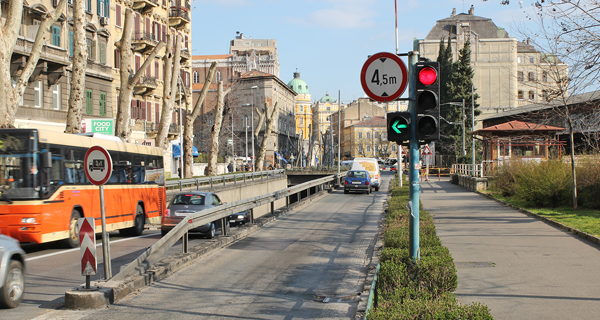 Podvožnjak Žabica