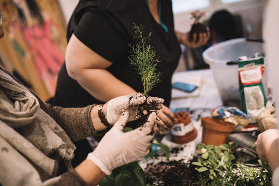Startup Green - radionica izrade kokedama