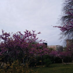 Ni Tower nije više crn u ovo doba