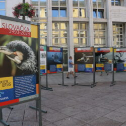 Dani Slovačke kulture u Rijeci 2023