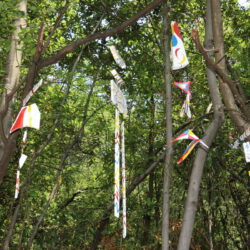 U Parku lovora postavljena špina s pitkom vodom