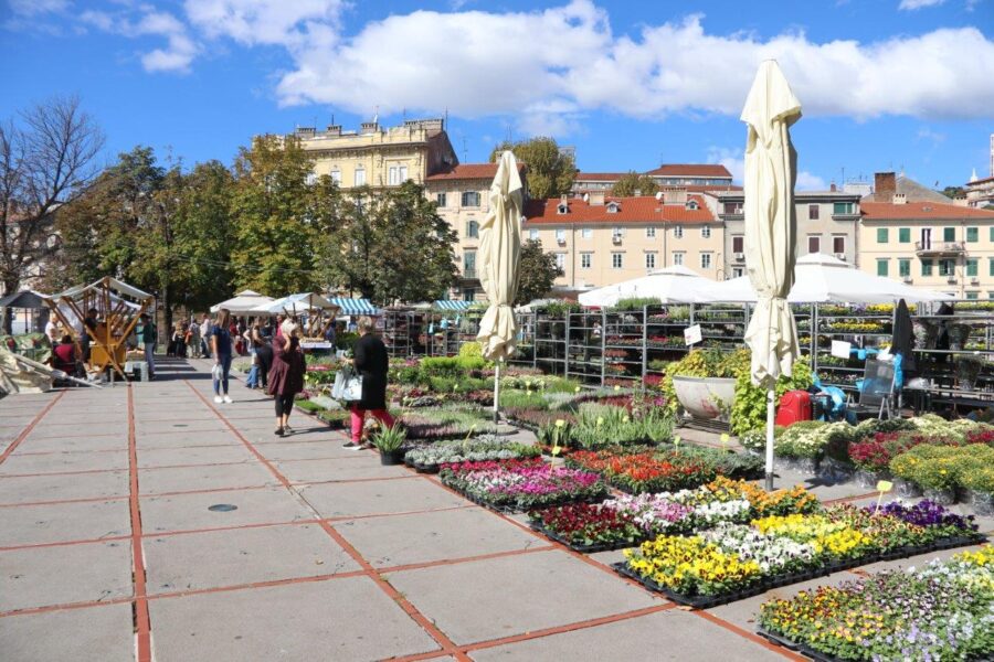 Jesenski sajam na Kontu