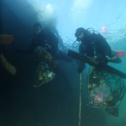 Eko akcija lučica Brgudi Kluba podvodnih aktivnosti 3. maj