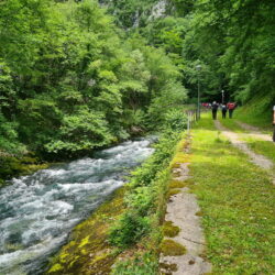 Zeleni tjedan - Šetnja Rječinom