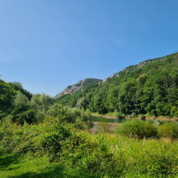 Zeleni tjedan - Šetnja Rječinom