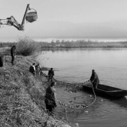 Biljana-Latinovic-Izlov-ribe-Prnjavor-BiH-Fotoklub-Simanovci