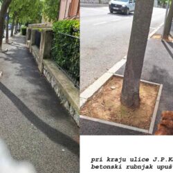 Fotografije drvoreda u ulici J. P. Kamova na Pećinama