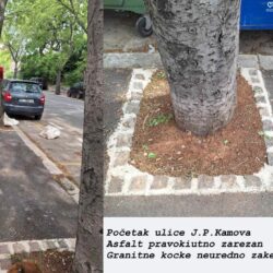 Fotografije drvoreda u ulici J. P. Kamova na Pećinama