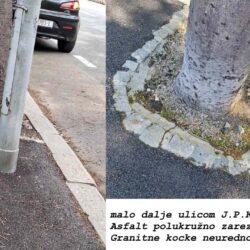 Fotografije drvoreda u ulici J. P. Kamova na Pećinama