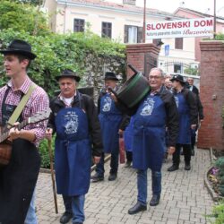 Berba potomka najstarije loze na svijetu