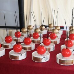 Dodjela priznanja Riječka trešnja 2024