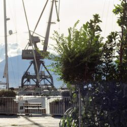 Urbani separe Šumarak