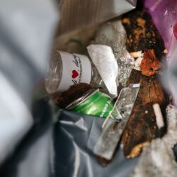 EU Beach cleanup_Sablićevo (foto Tanja Kanazir)