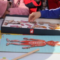 Javnozdravstvena akcija s ciljem podizanja svijesti o važnosti prevencije i ranog otkrivanja bolesti