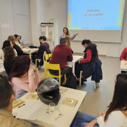 Završna konferencija projekta Grad po mjeri mladih