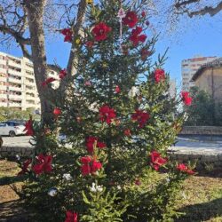 Advent na Vojaku 2024.- božićno drvce